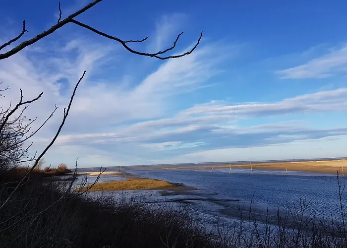 Jolie De 28m² - La Hume Centre Privat bolig Gujan-Mestras